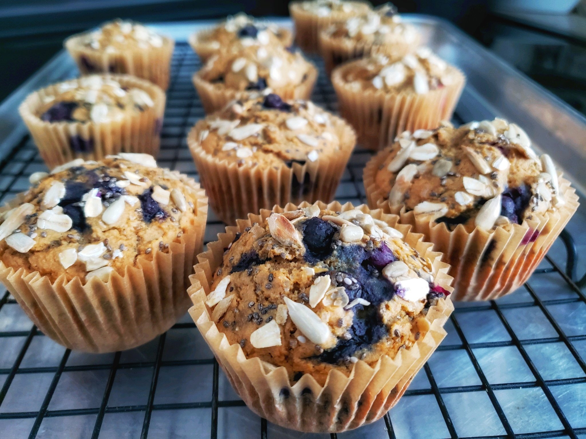 Blueberry Oat Muffins