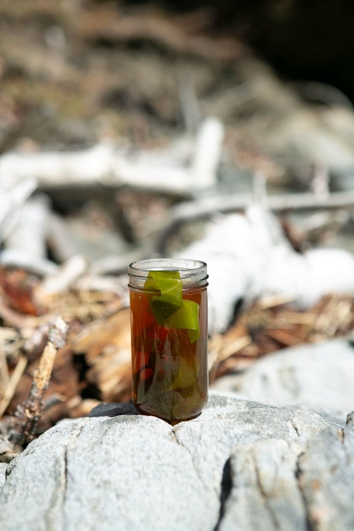 Bone Broth with Kelp