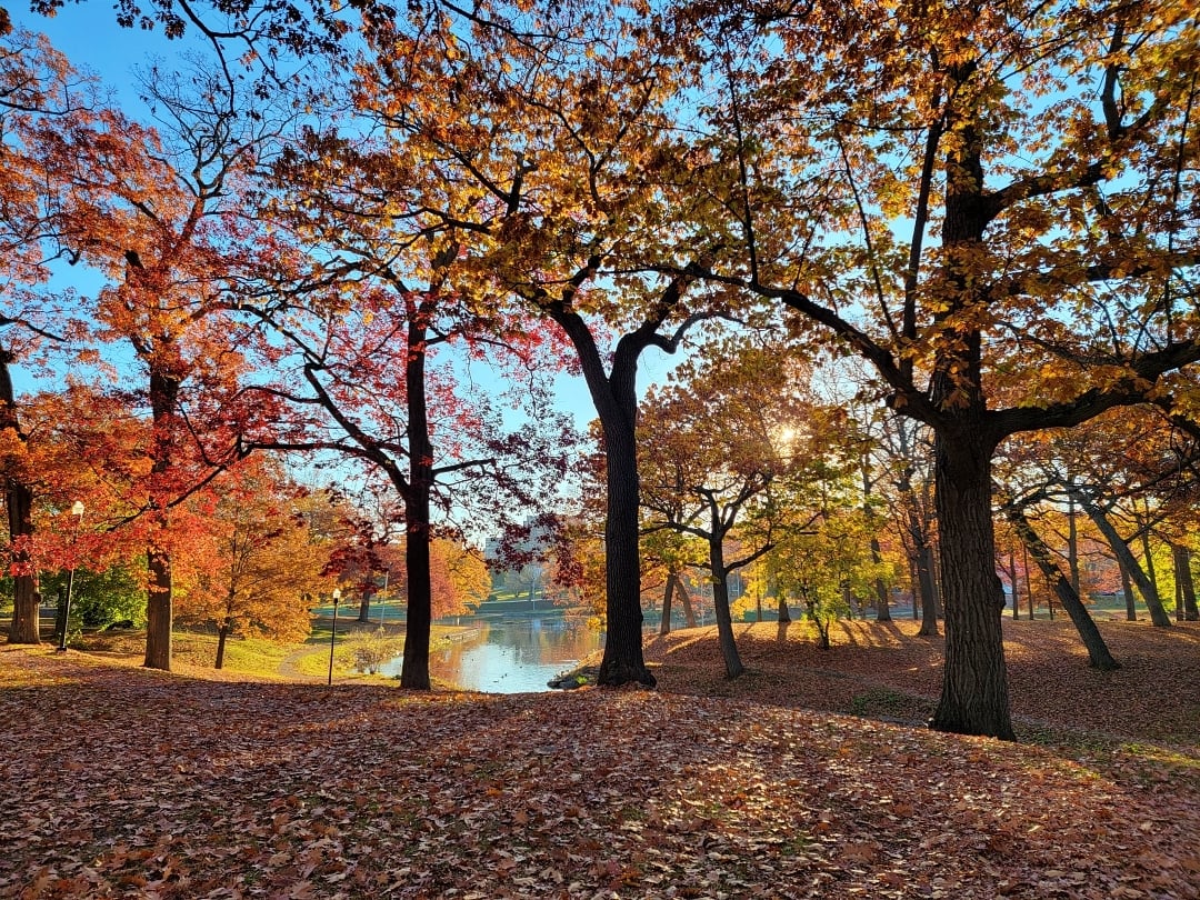 Fall, Deering Oaks Park