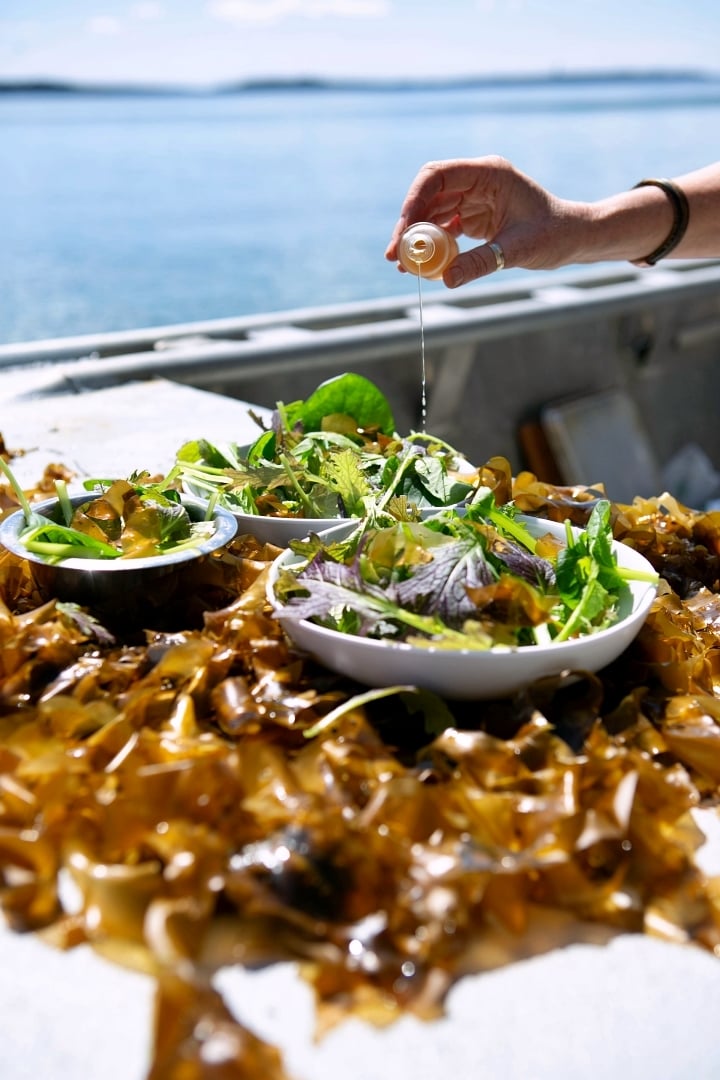 Casco Bay Seaweed Salad with Wild Pine Vinaigrette