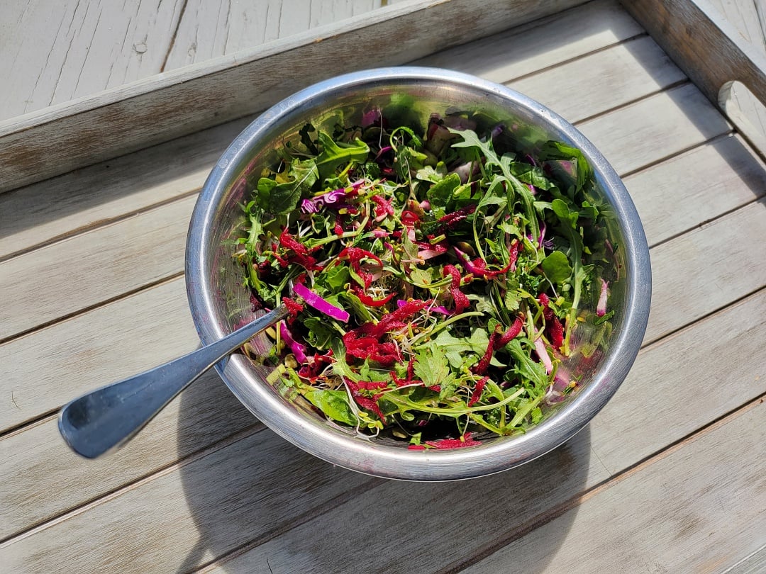 Grated-Beet-Cabbage-Spring-Salad (2)