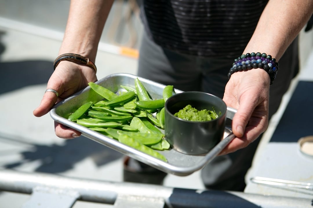 Green Herbal Dip with Snap Peas