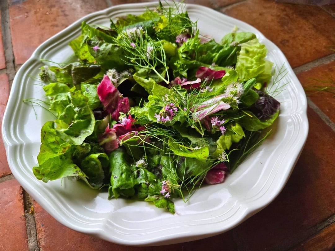 Herb Salad