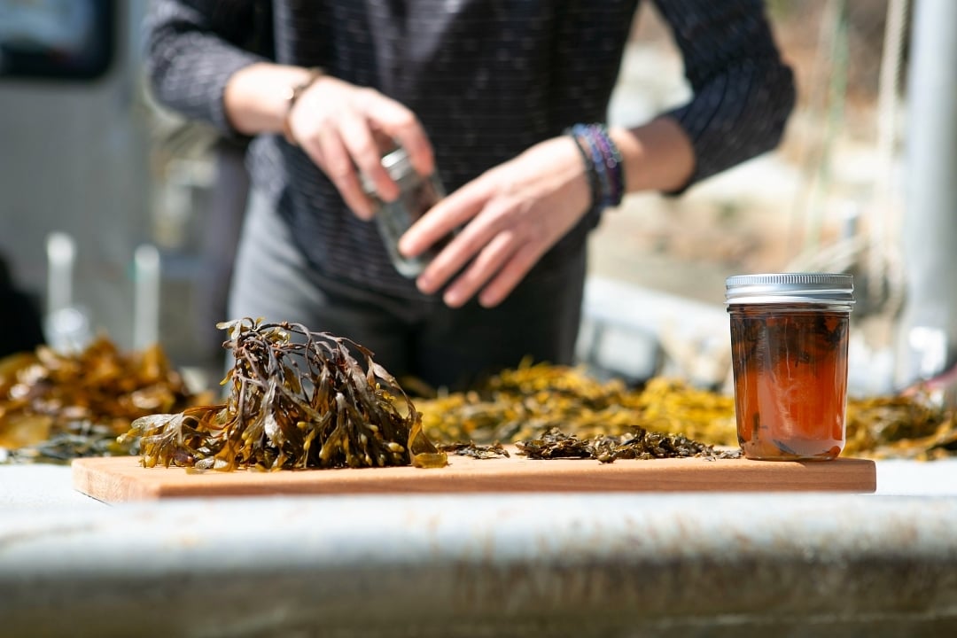 Infusing Seaweed