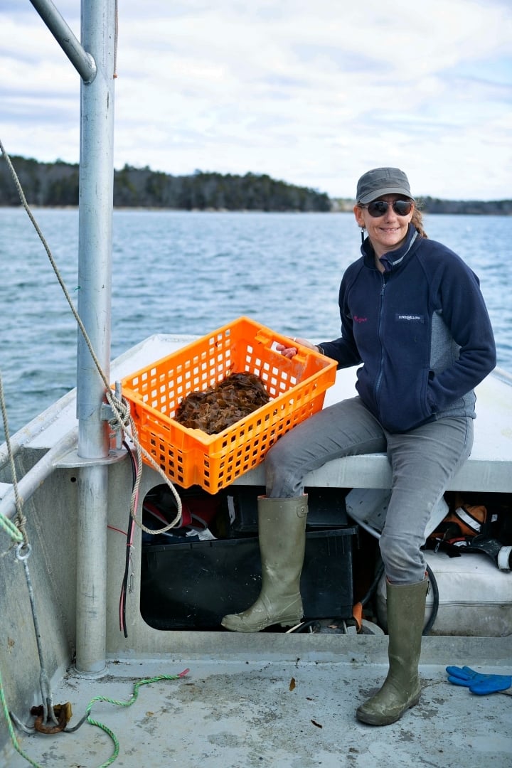Karina + Kelp in basket on boat bow