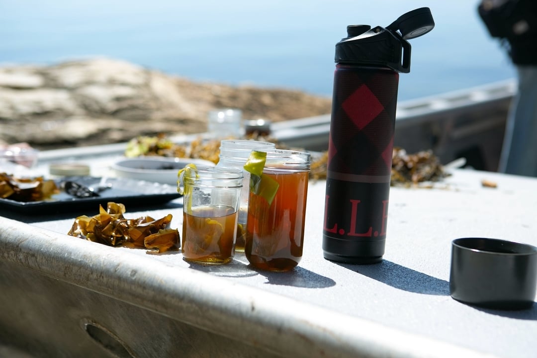 Seaweed Bone Broth with Fresh Kelp