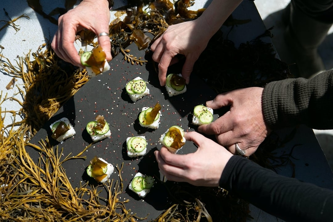 Making Seaweed Sushi Squares Together
