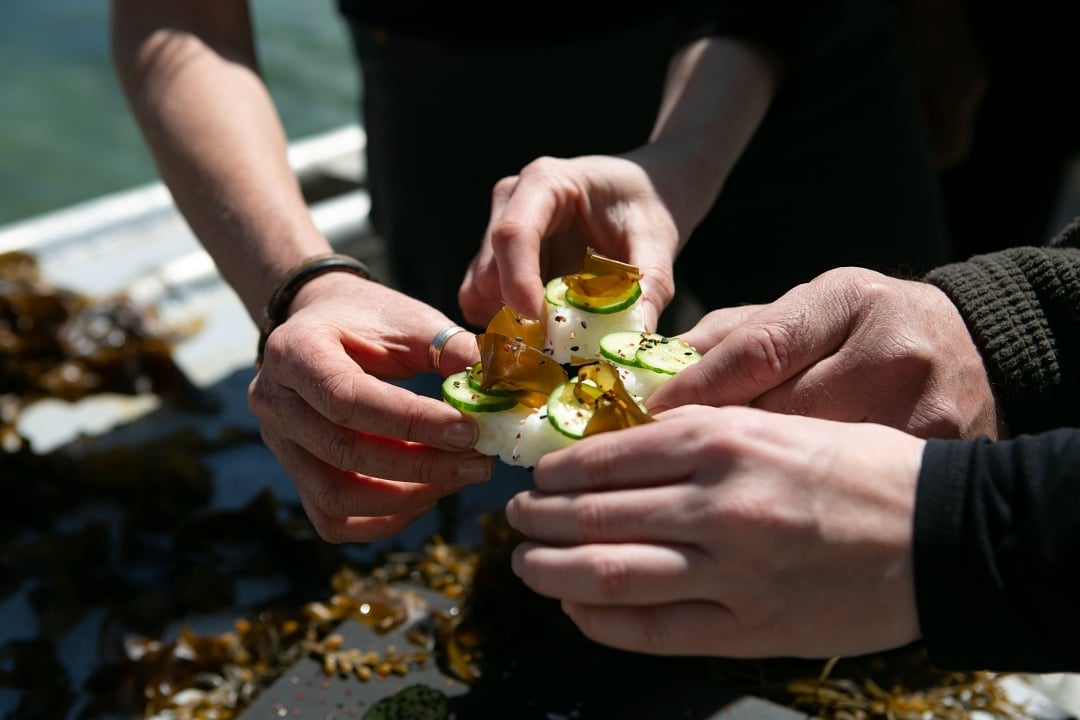 Seaweed Sushi Squares