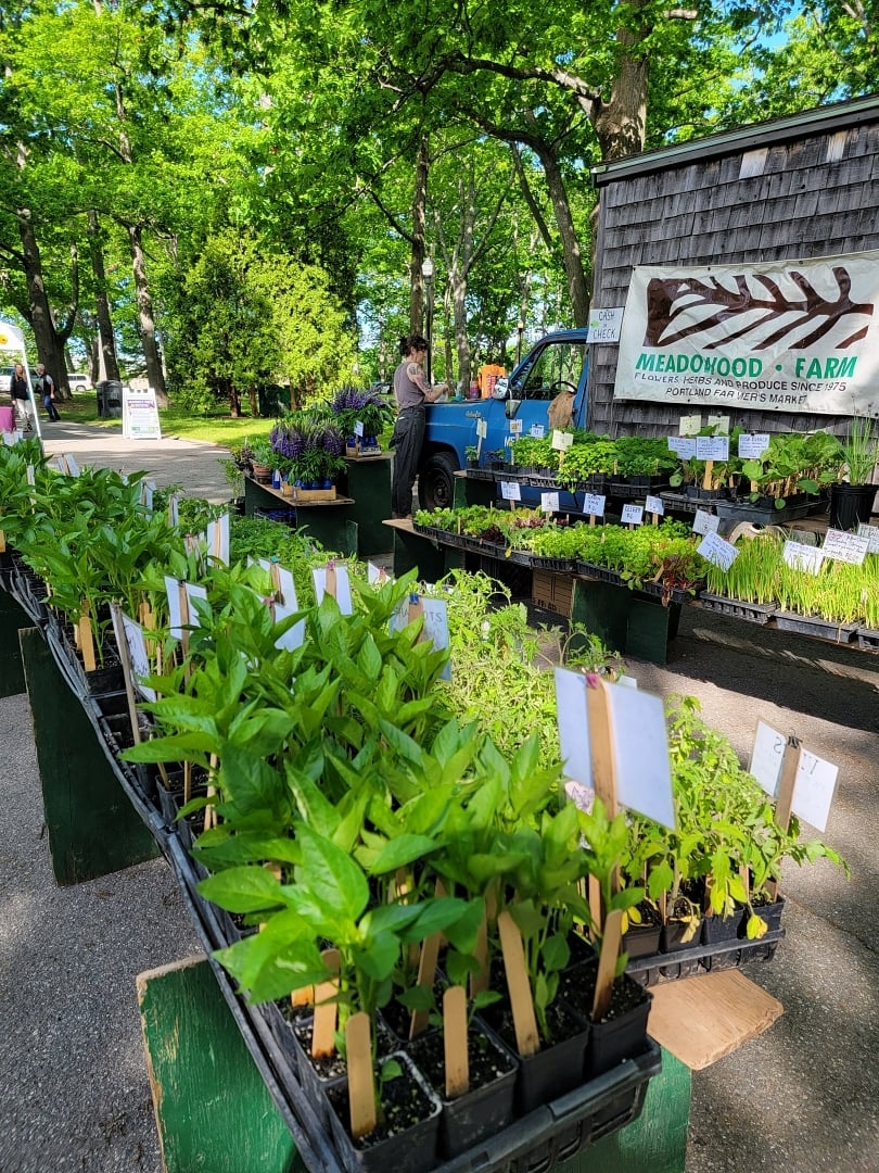 Spring Farmers Market