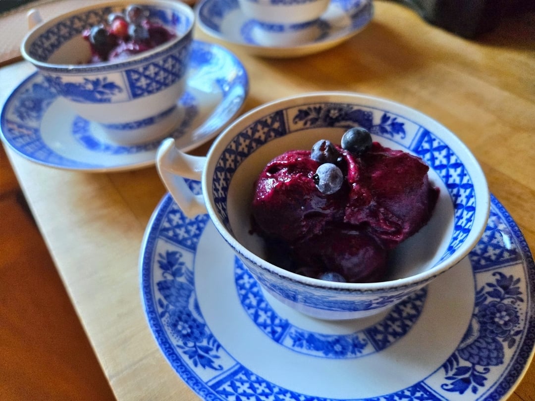 Wild Blueberry Sorbet