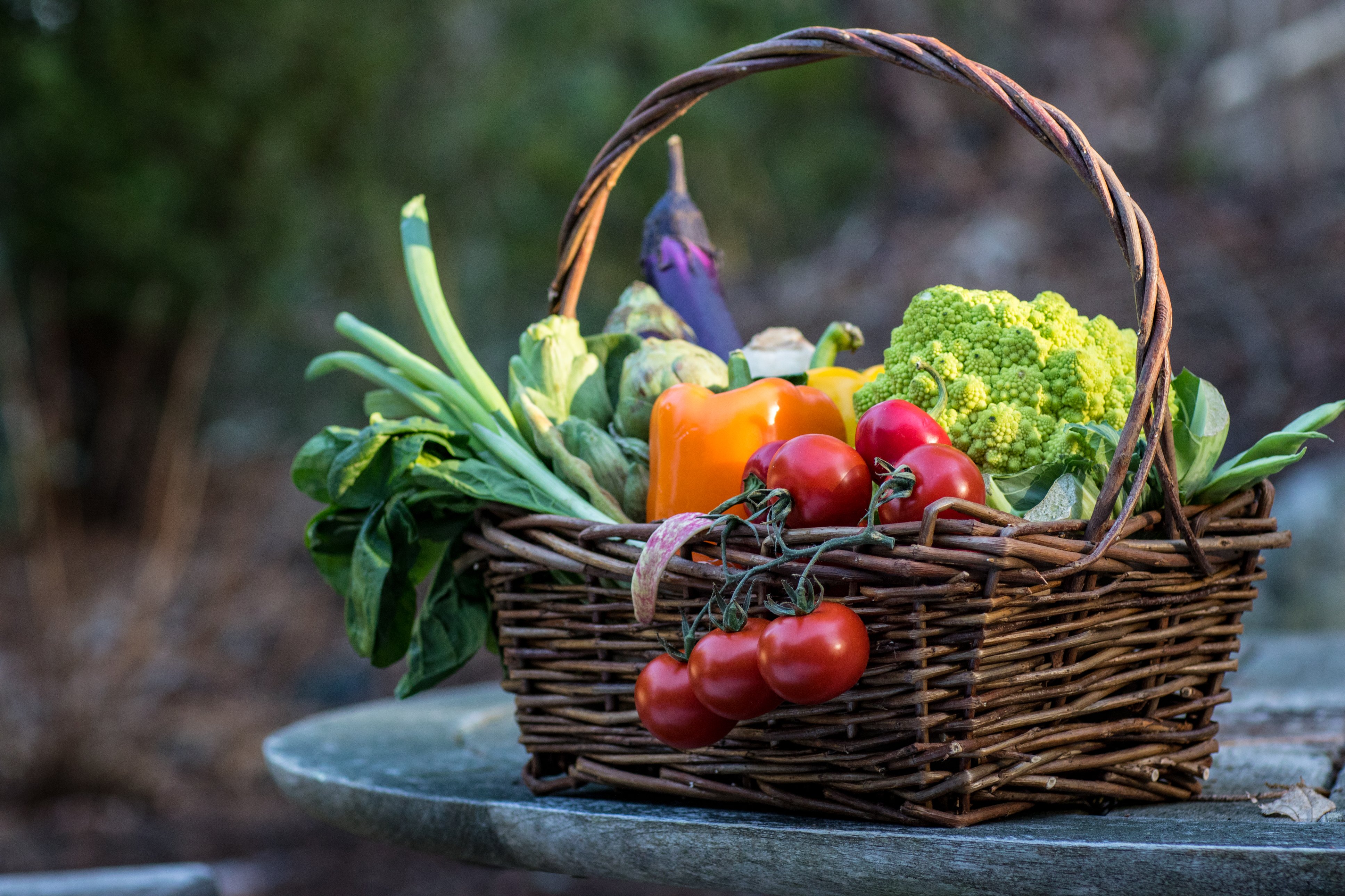 basket of vegetables