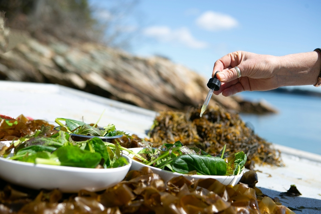 Seaweed Salad + Tincture Bottle