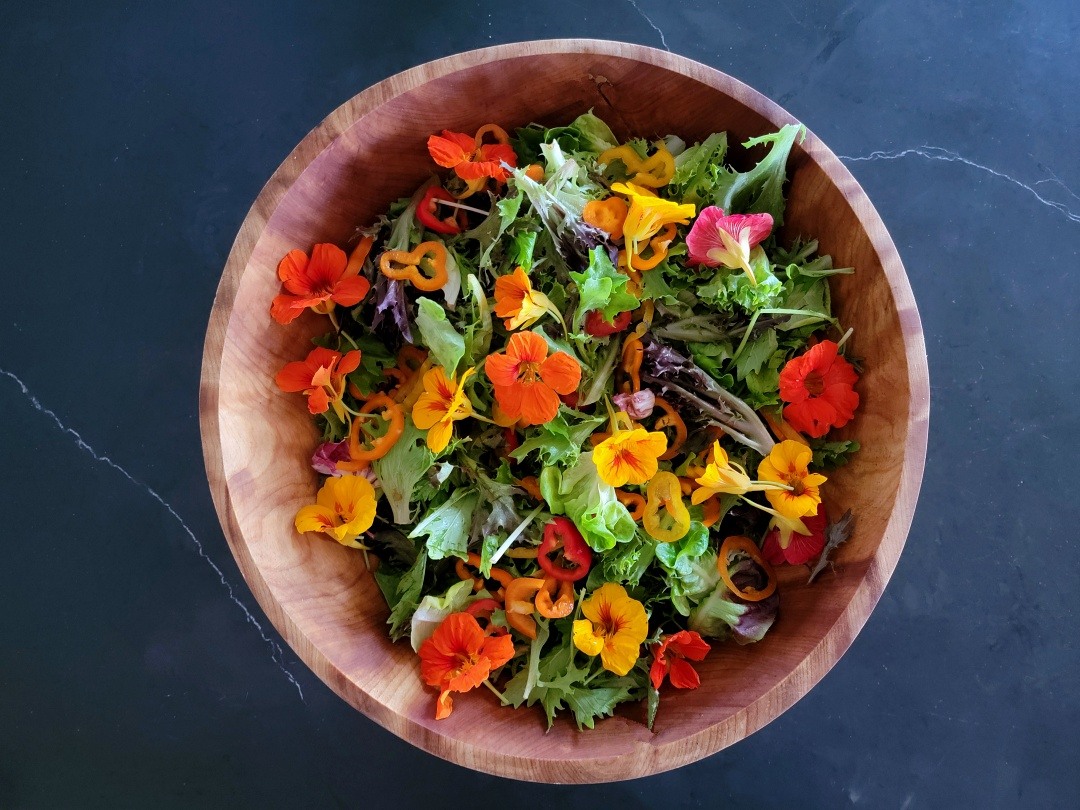 Summer Salad with Nasturtium 