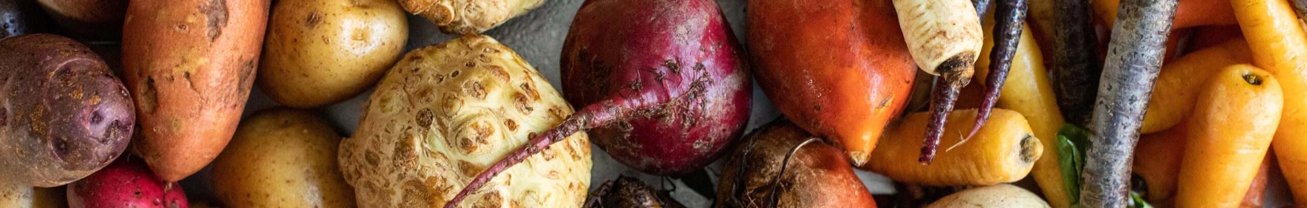 root-vegetable_cta_banner-scaled